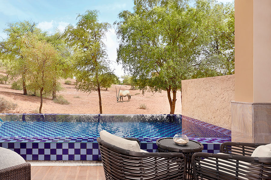 Ritz-Carlton Al Wadi Desert