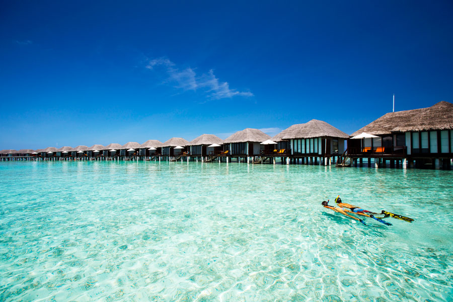 Sukella ja snorklaa Malediiveilla